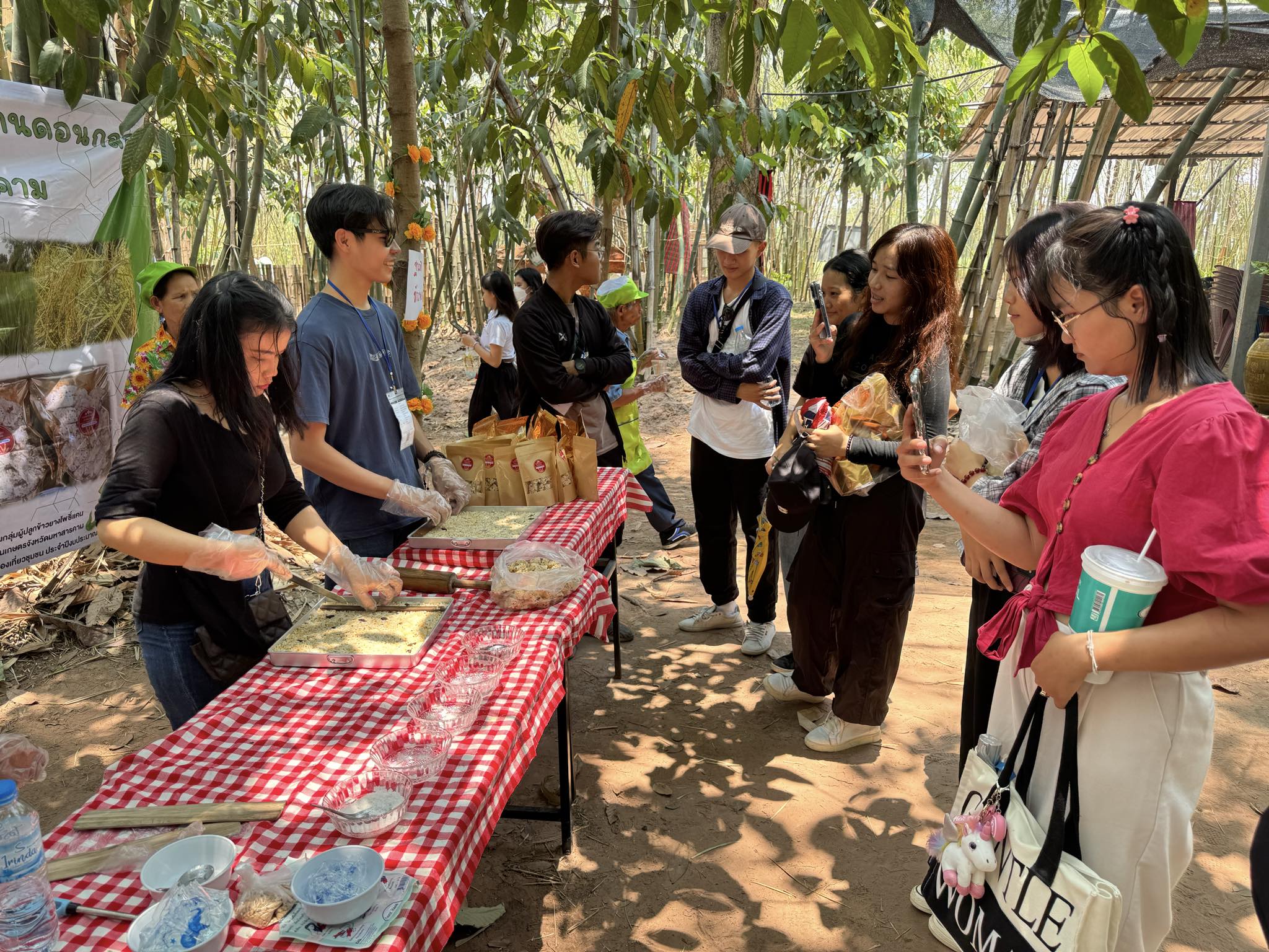 โครงการเตรียมความพร้อมการเรียนภาษาไทยเบื้องต้นฯ